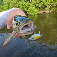 Westin Buzzbite Crankbaits 5cm/6g